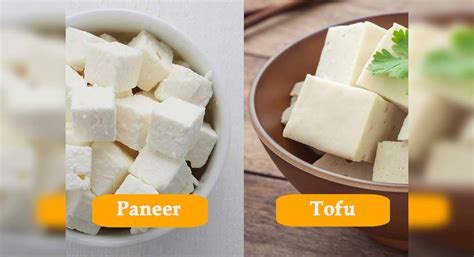 Is paneer cheese or tofu?
